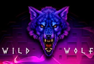 Wild Wolf